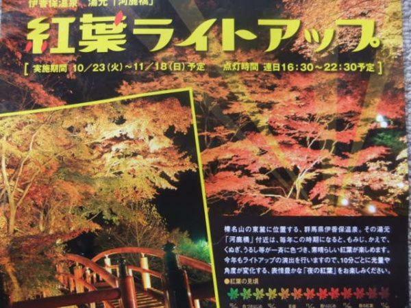 Hotel Ikaho Ginsui Shibukawa Bagian luar foto